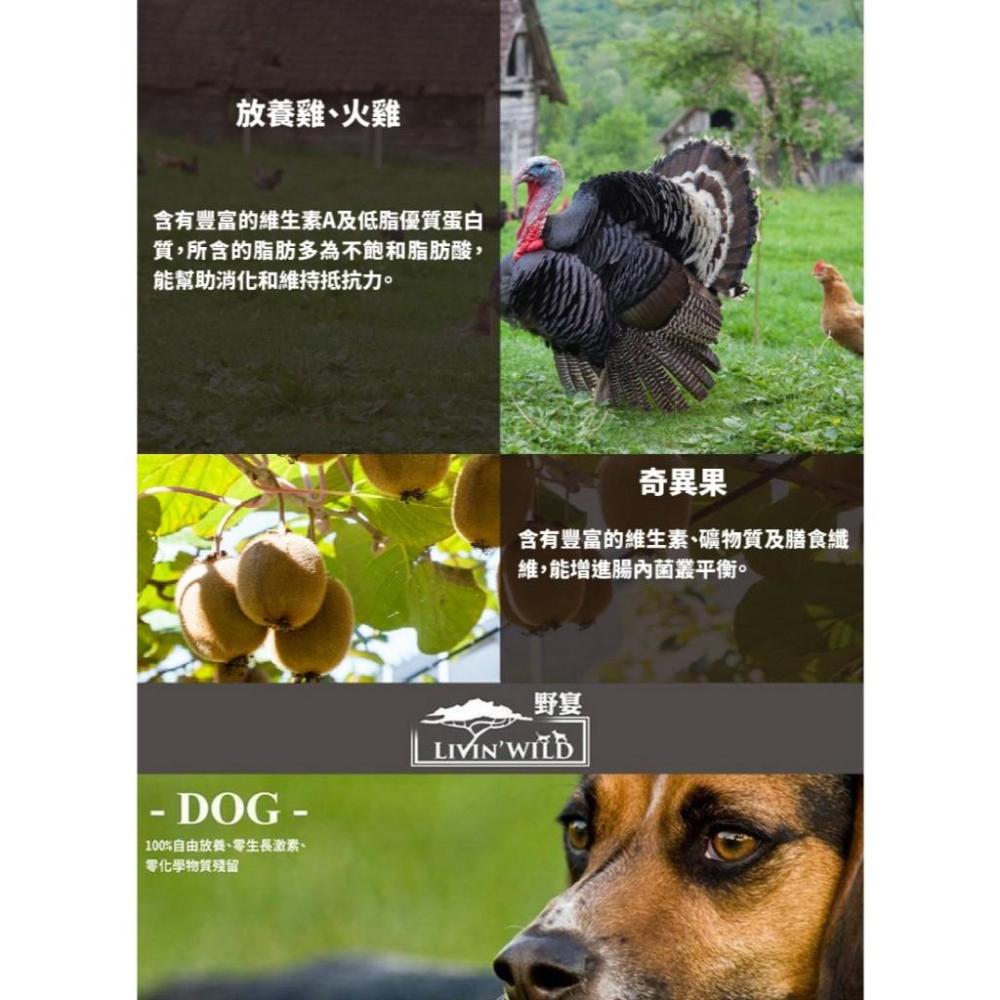 ✅貓狗好時光【Livin＇ Wild 野宴 犬飼料】紐西蘭 草飼無穀 全齡犬 狗飼料 狗乾糧【4lb】小包-細節圖3