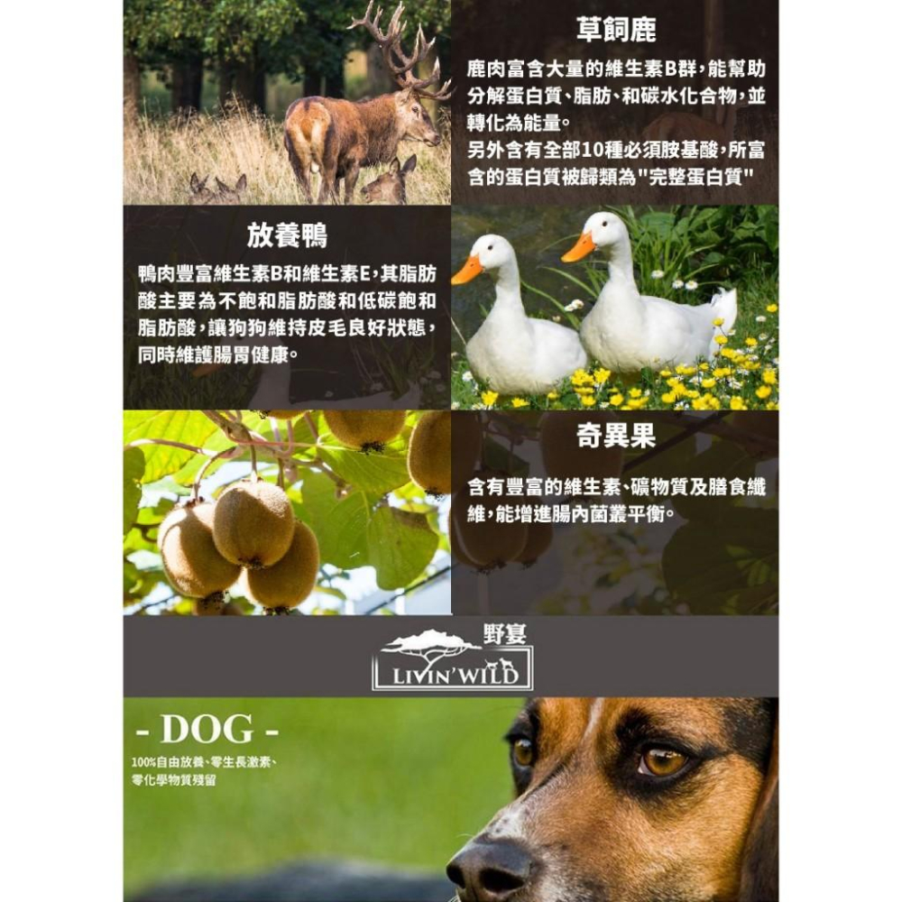 ✅貓狗好時光【Livin＇ Wild 野宴 犬飼料】紐西蘭 草飼無穀 全齡犬 狗飼料 狗乾糧【4lb】小包-細節圖5