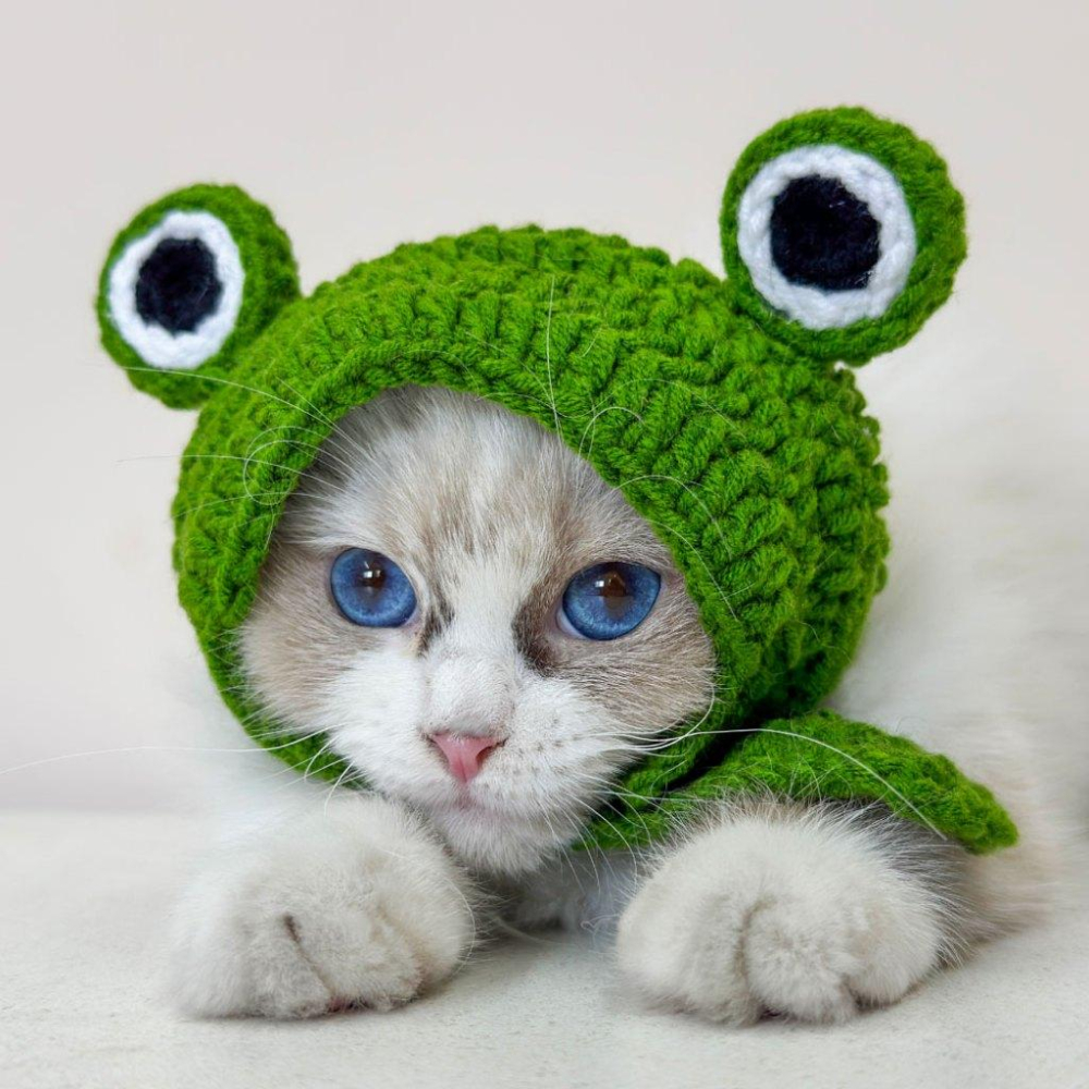 台灣現貨✅貓狗好時光 有喵病 自嗨俏皮頭套 搞怪可愛寵物帽子 寵物頭套 寵物變裝 寵物頭飾-細節圖2