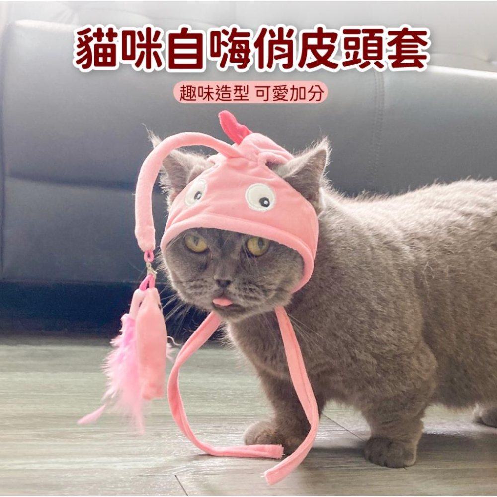 台灣現貨✅貓狗好時光 有喵病 自嗨俏皮頭套 搞怪可愛寵物帽子 寵物頭套 寵物變裝 寵物頭飾-細節圖3