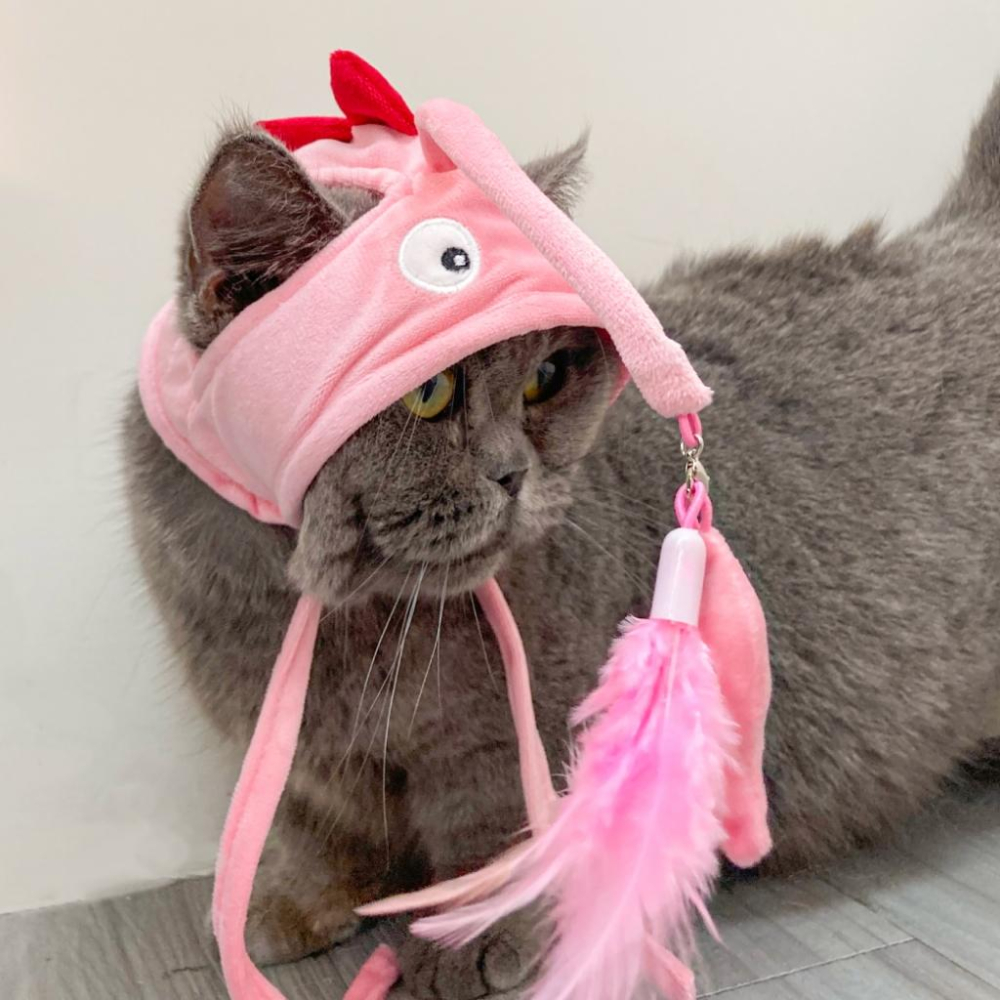 台灣現貨✅貓狗好時光 有喵病 自嗨俏皮頭套 搞怪可愛寵物帽子 寵物頭套 寵物變裝 寵物頭飾-細節圖6