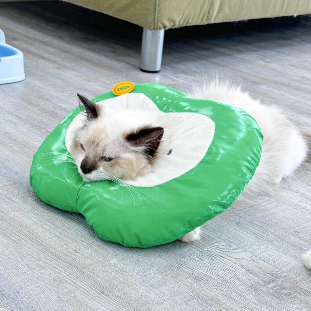 台灣現貨✅貓狗好時光 寵物來了 造型頭套 寵物頭套 蘋果造型頭套 奶油獅 防舔咬 伊莉莎白-細節圖3