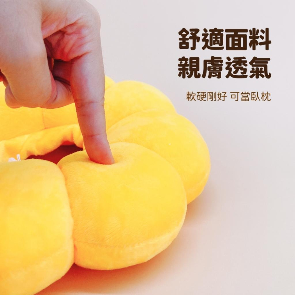 台灣現貨✅貓狗好時光 寵物來了 造型頭套 寵物頭套 蘋果造型頭套 奶油獅 防舔咬 伊莉莎白-細節圖9