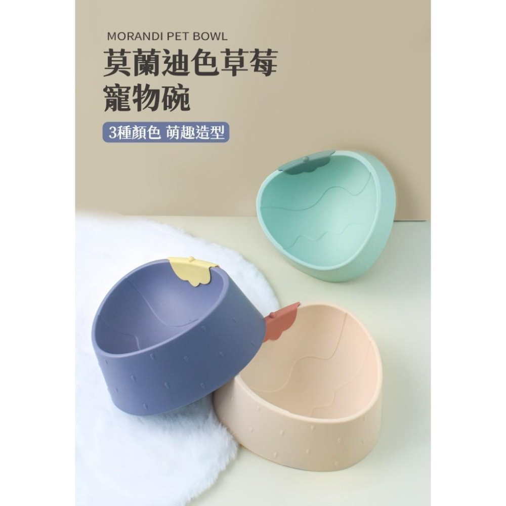 台灣現貨貓狗得來速 莫蘭迪草莓寵物碗 飲水碗 飲水碗 寵物碗 貓咪碗 狗碗 飼料-細節圖5