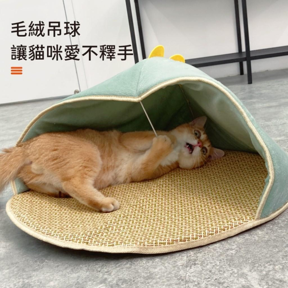 台灣現貨貓狗得來速 半封閉清涼藤席貓窩 兔子恐龍 夏季 涼墊 寵物-細節圖6