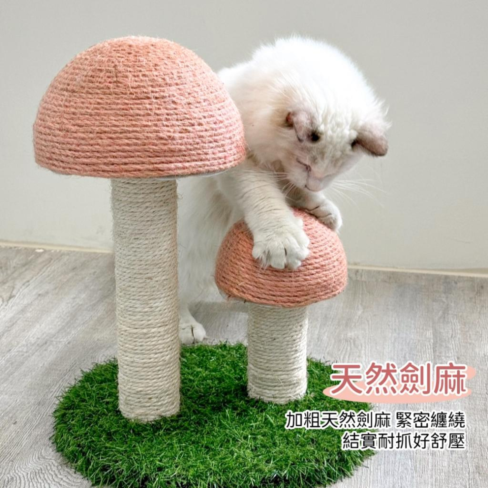台灣現貨貓狗得來速 有喵病 小花貓抓柱 蘑菇草坪抓柱 劍麻貓抓柱 逗貓玩具 貓咪玩具 寵物玩具-細節圖6
