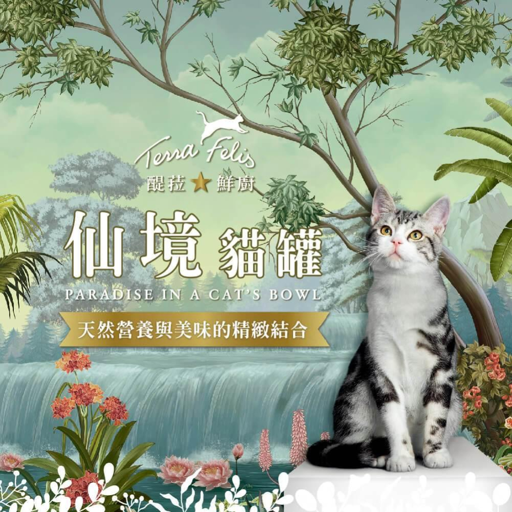 🚚貓狗得來速【醍菈鮮廚】仙境貓罐 貓罐頭 貓主食罐 貓食 貓薄荷 罐頭 80g-細節圖4