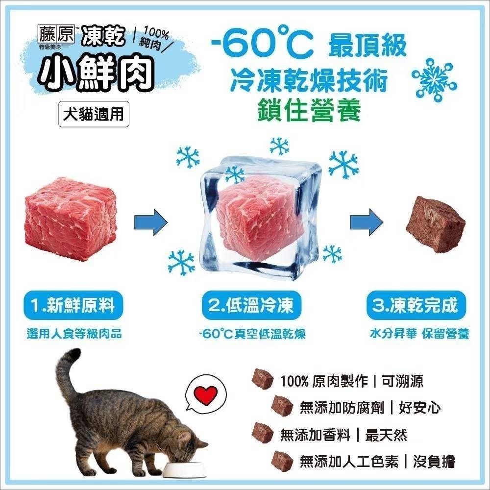 🚚貓狗得來速【藤原 凍乾小鮮肉 犬貓適用】 寵物零食 100%純肉 狗凍乾 貓凍乾 寵物凍乾【罐裝】-細節圖7