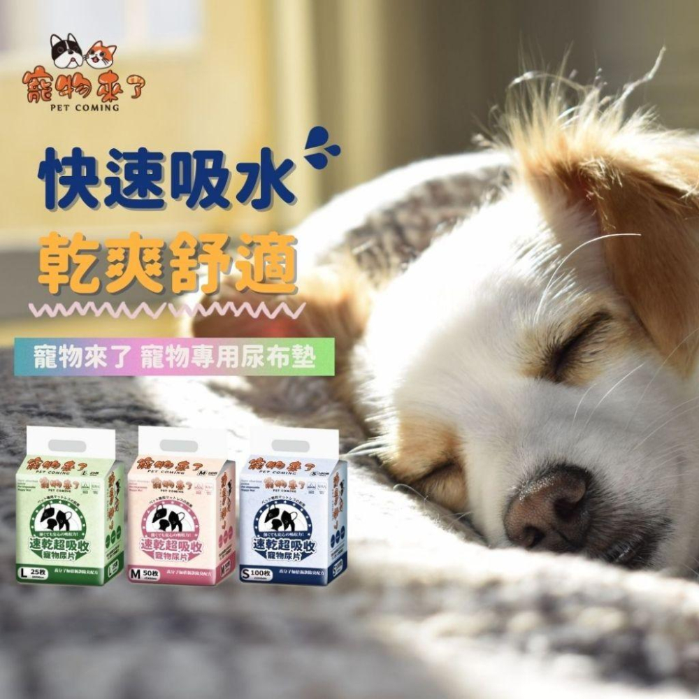 🚚貓狗得來速寵物來了 速乾超吸收寵物尿墊 狗尿墊 訓練尿墊-細節圖2