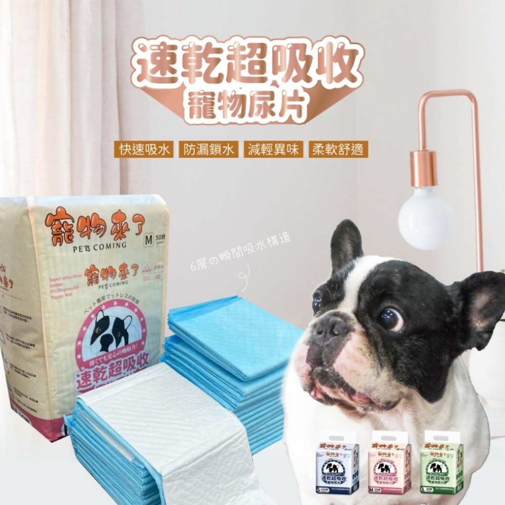 🚚貓狗得來速寵物來了 速乾超吸收寵物尿墊 狗尿墊 訓練尿墊-細節圖5