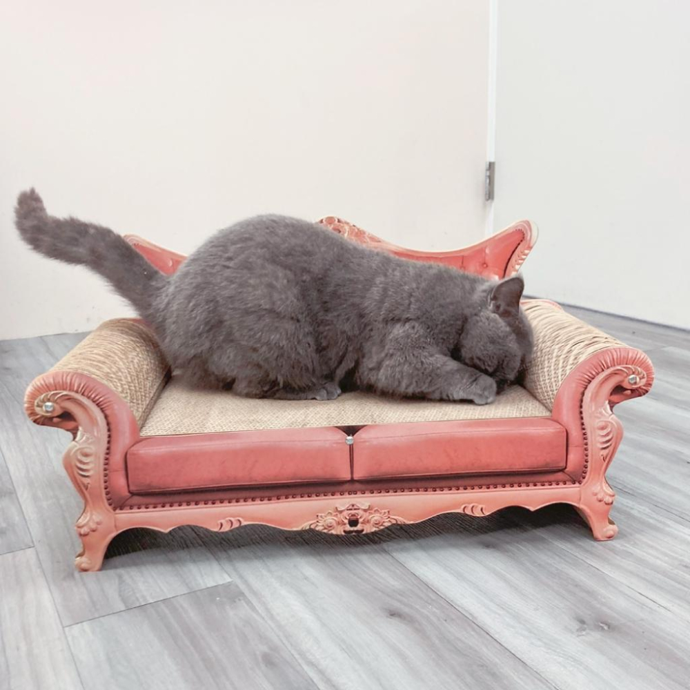 台灣現貨貓狗得來速 有喵病 復古沙發瓦楞貓抓板 貓窩 貓抓板 睡窩 貓咪沙發 躺椅貓抓板 貓躺椅-細節圖7