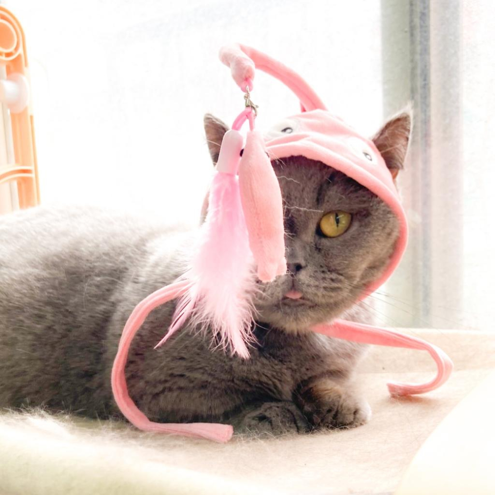 台灣現貨貓狗得來速 有喵病 自嗨俏皮頭套 搞怪可愛寵物帽子 寵物頭套 寵物變裝 寵物頭飾-細節圖3