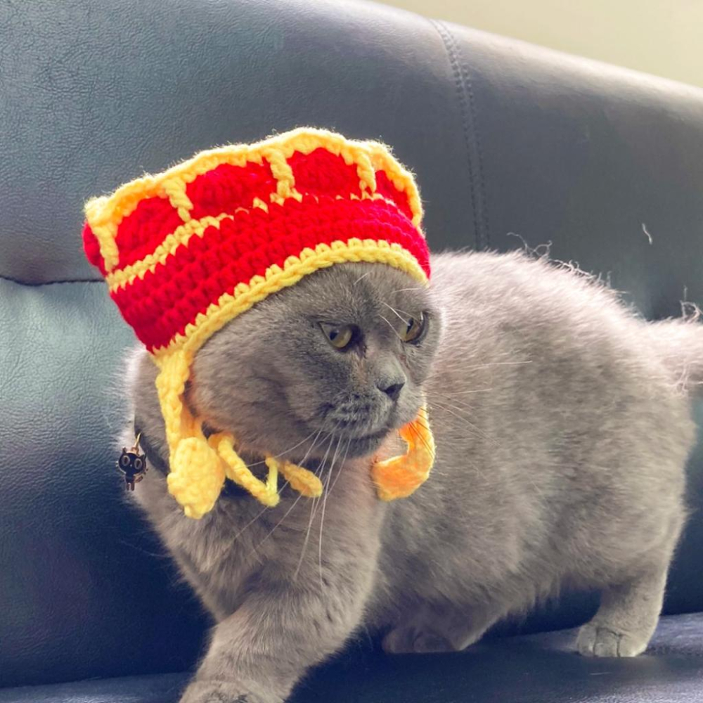 台灣現貨貓狗得來速 有喵病 自嗨俏皮頭套 搞怪可愛寵物帽子 寵物頭套 寵物變裝 寵物頭飾-細節圖7