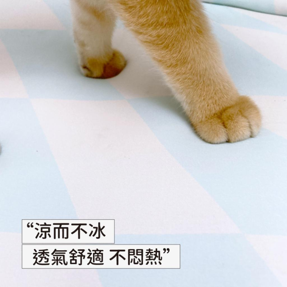 台灣現貨貓狗得來速 有喵病 清涼自嗨墊 夏季 涼蓆 寵物 貓咪 逗貓 貓睡墊 貓窩 玩具睡墊 寵物床-細節圖5