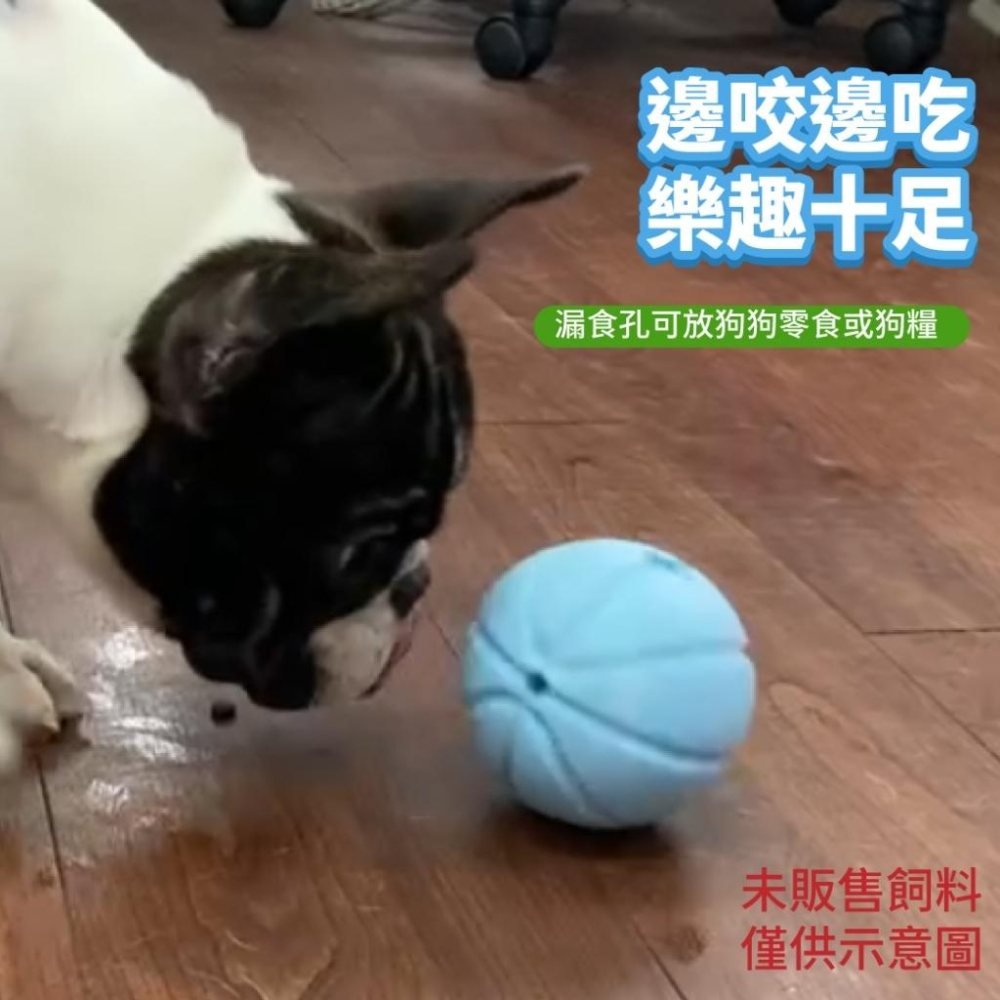 🐻維尼寵物🔥台灣現貨 寵物來了 漏食抗憂玩具球 寵物玩具 狗狗玩具 寵物益智玩具 漏食球-細節圖5