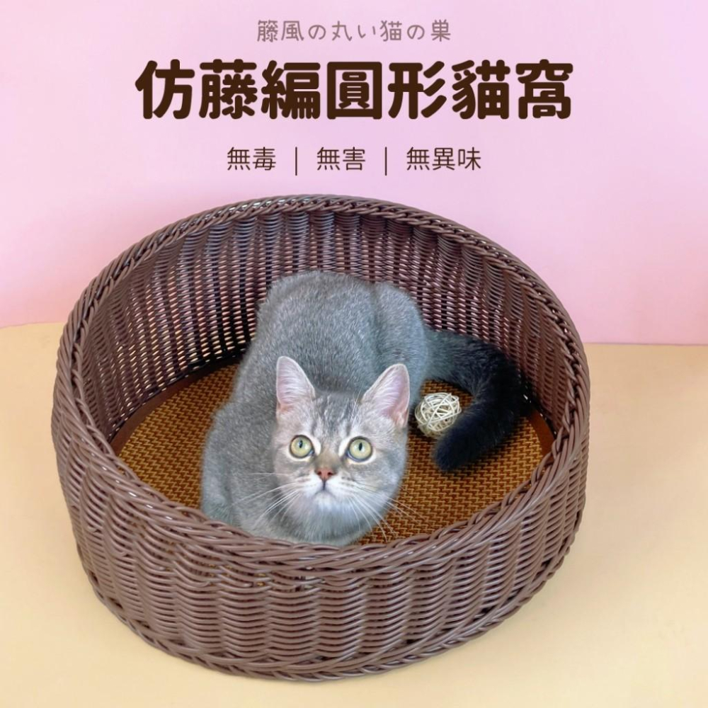 🐻維尼寵物🔥台灣現貨  西瓜劍麻盆 仿藤四季貓窩 瓦楞貓抓窩 可替換貓抓碗 牛油果劍麻貓抓碗-細節圖4