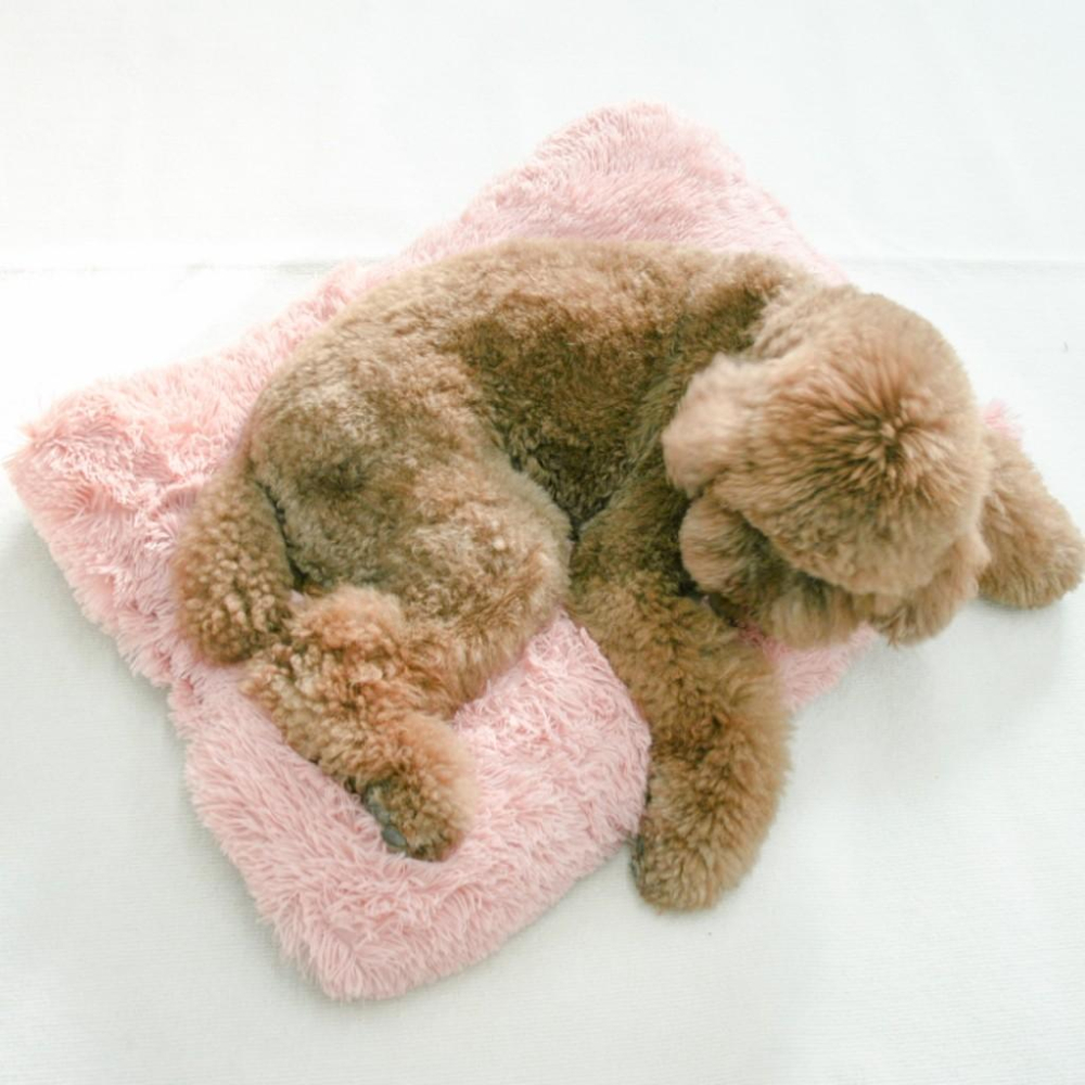 🐻維尼寵物🔥台灣現貨  長毛絨舒眠 秋冬長毛絨 睡窩 方毯 睡墊 圓毯-細節圖7