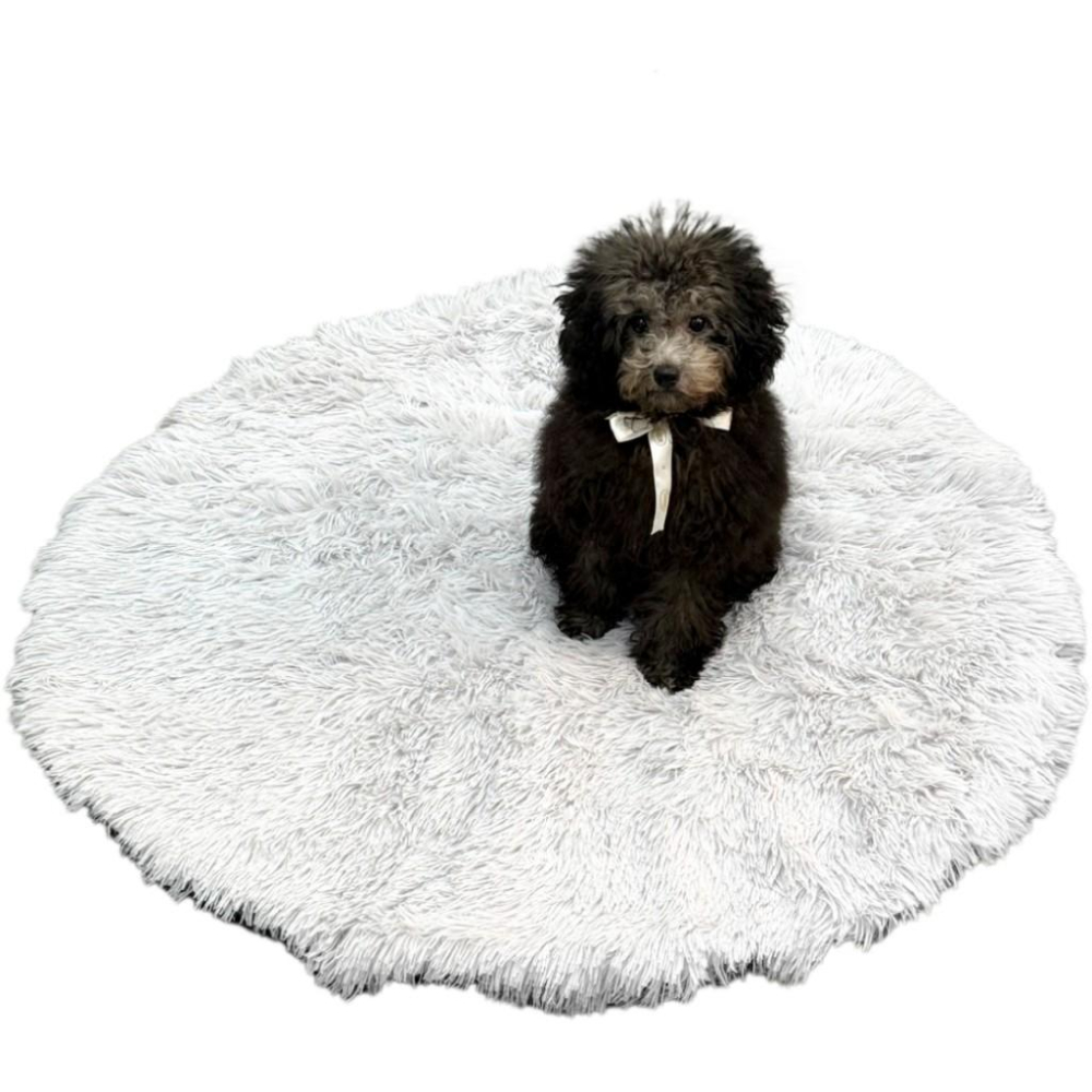 🐻維尼寵物🔥台灣現貨  長毛絨舒眠 秋冬長毛絨 睡窩 方毯 睡墊 圓毯-細節圖9