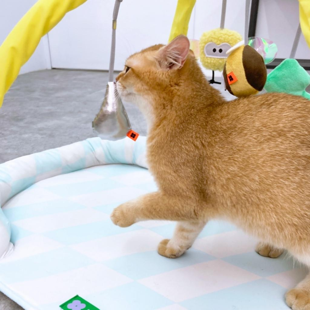 台灣現貨熊好命🧸有喵病 清涼自嗨墊 夏季 涼蓆 寵物 貓咪 逗貓 貓窩 寵物床-細節圖4