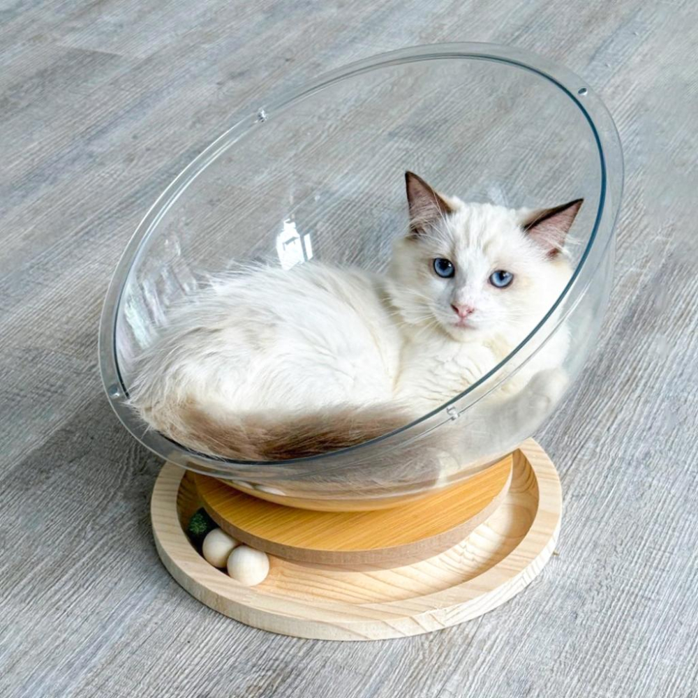 台灣現貨熊好命🧸太空艙實木轉盤貓窩 睡窩 貓睡窩-細節圖3