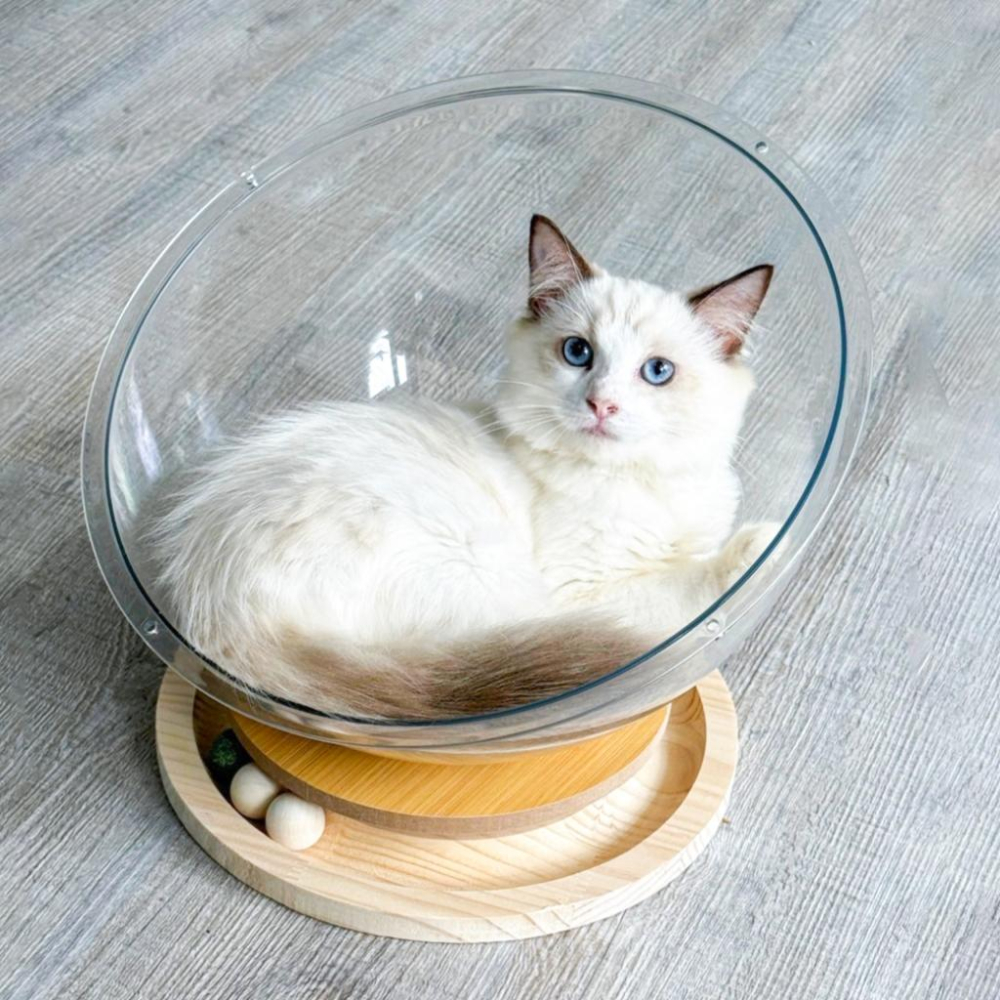 台灣現貨熊好命🧸太空艙實木轉盤貓窩 睡窩 貓睡窩-細節圖4