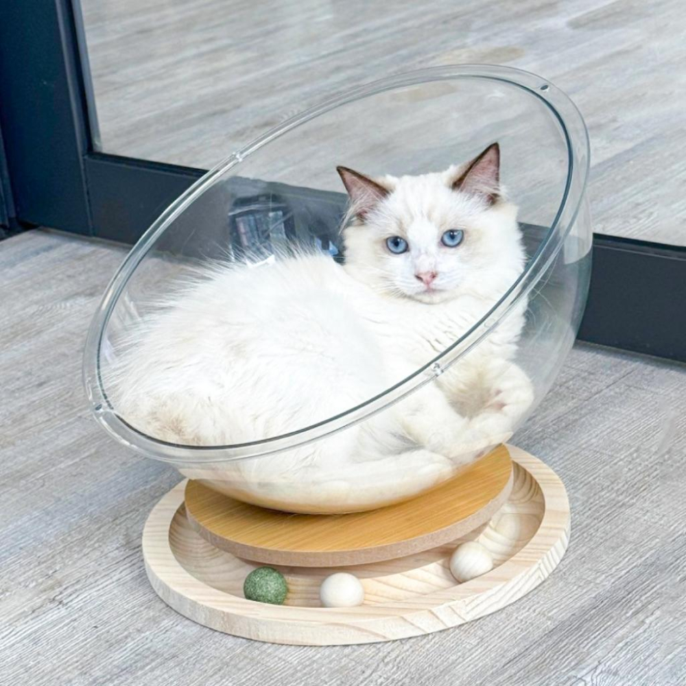 台灣現貨熊好命🧸太空艙實木轉盤貓窩 睡窩 貓睡窩-細節圖5