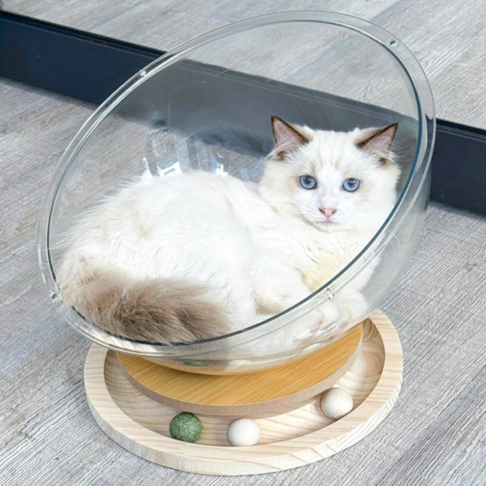 台灣現貨熊好命🧸太空艙實木轉盤貓窩 睡窩 貓睡窩-細節圖6