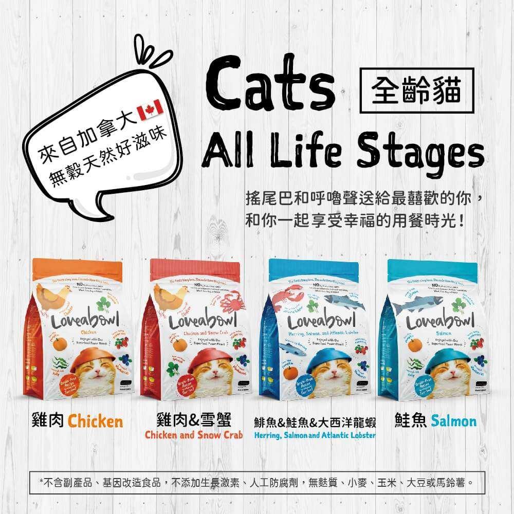 🧸熊好命【囍碗 無穀天然貓糧】貓飼料 乾飼料 貓食 全齡貓【小包裝 1kg / 4.1kg】-細節圖8
