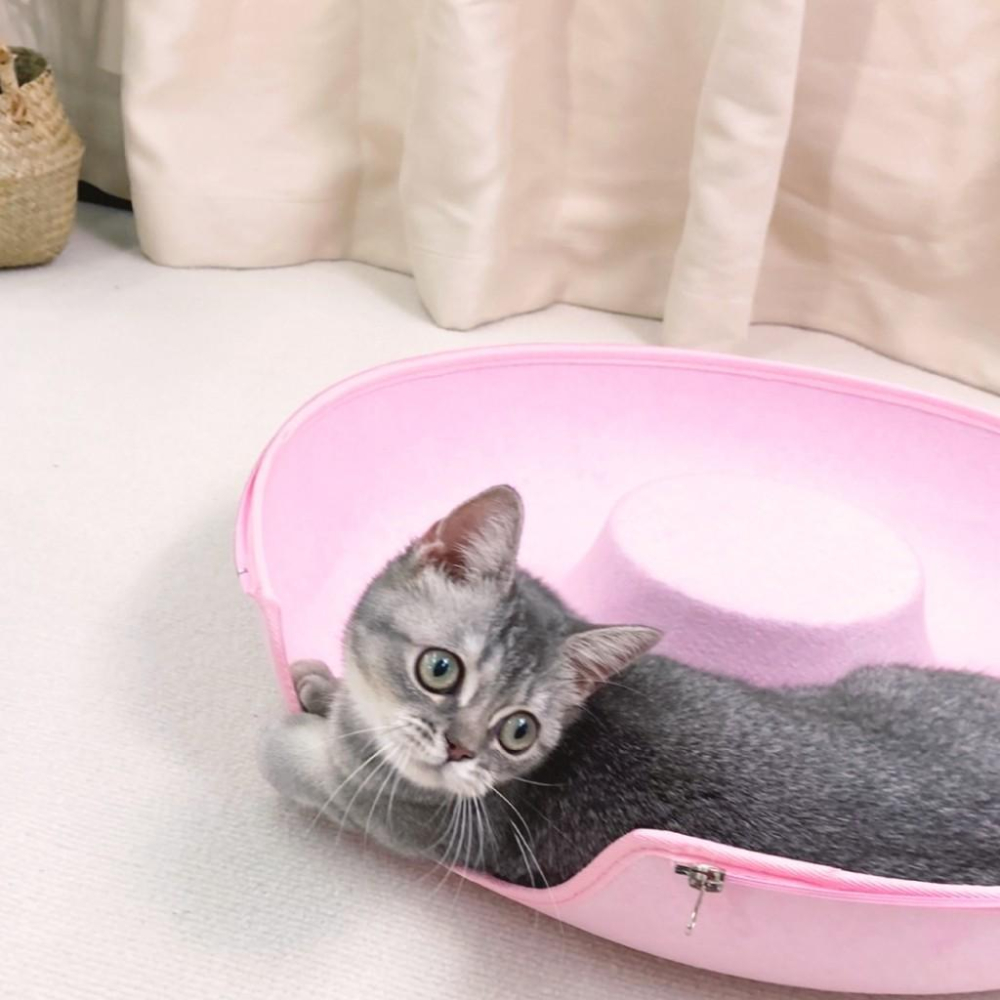 台灣現貨熊好命🧸有喵病 台灣現貨 甜甜圈貓隧道 貓咪窩 寵物玩具 輪胎貓窩 毛氈貓窩 四季通用-細節圖4