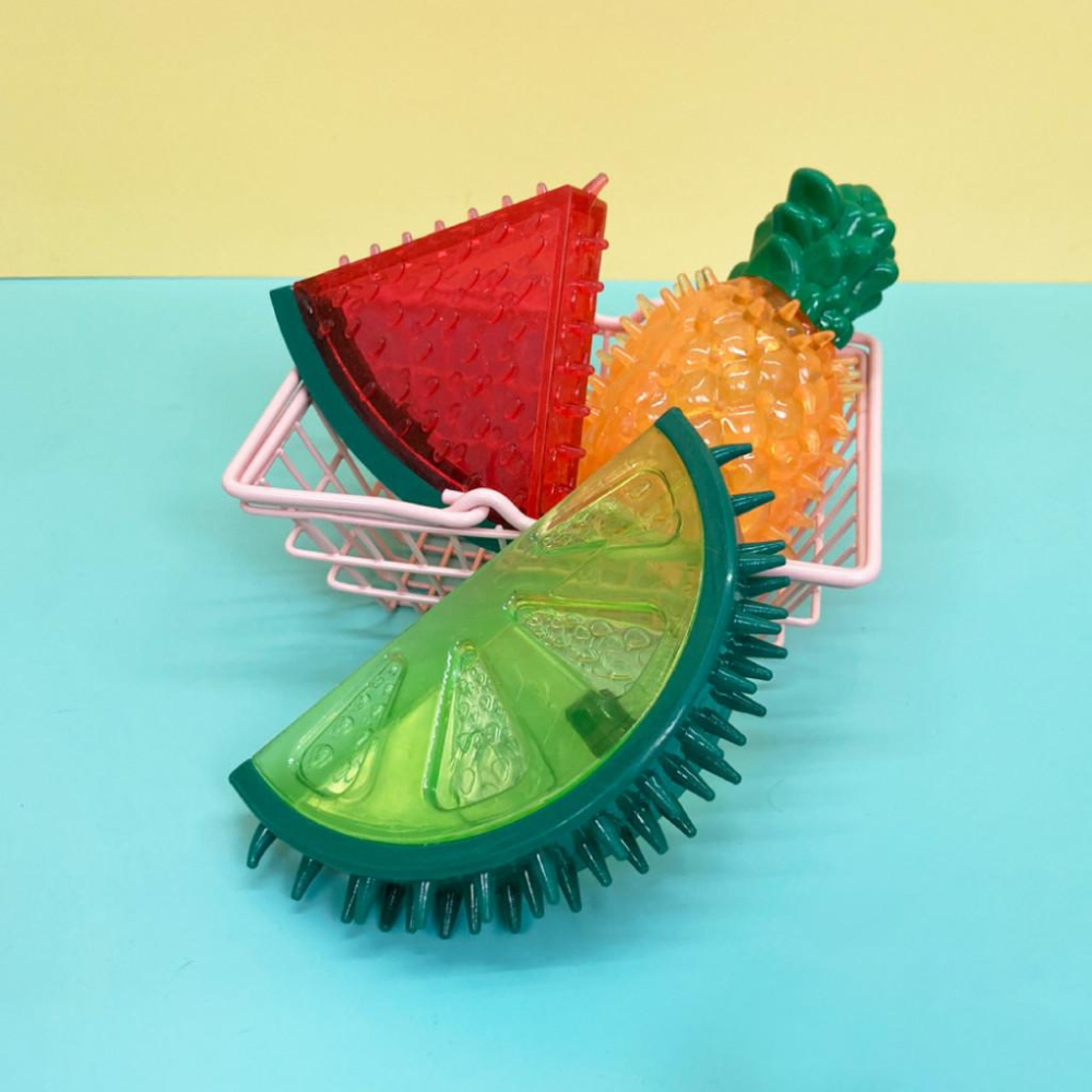 台灣現貨熊好命🧸  夏日水果 仙人掌 磨牙玩具-細節圖3