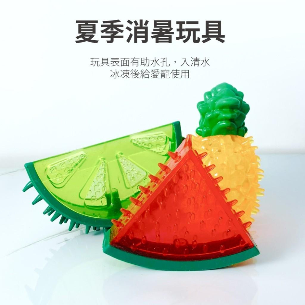 台灣現貨熊好命🧸  夏日水果 仙人掌 磨牙玩具-細節圖4