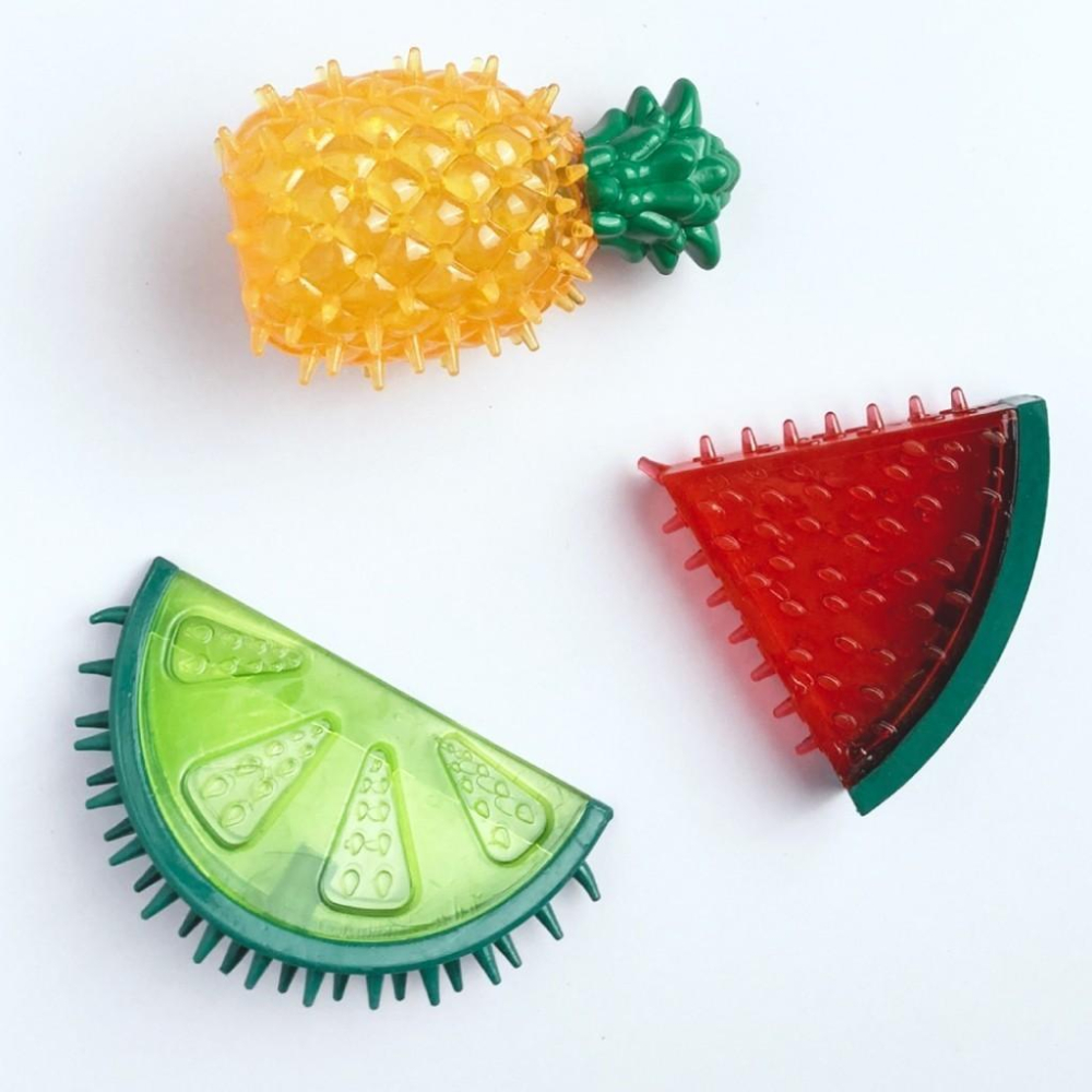 台灣現貨熊好命🧸  夏日水果 仙人掌 磨牙玩具-細節圖5