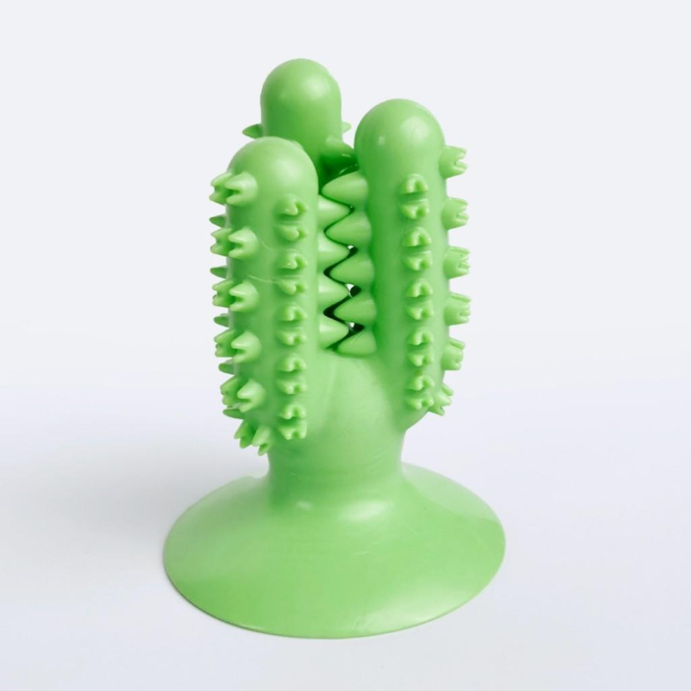 台灣現貨熊好命🧸  夏日水果 仙人掌 磨牙玩具-細節圖6