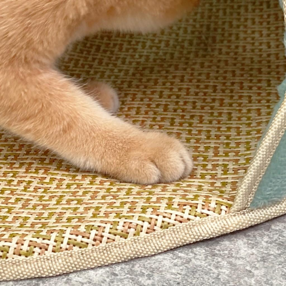 台灣現貨熊好命🧸 半封閉清涼藤席貓窩 兔子恐龍 夏季 涼墊 寵物-細節圖7