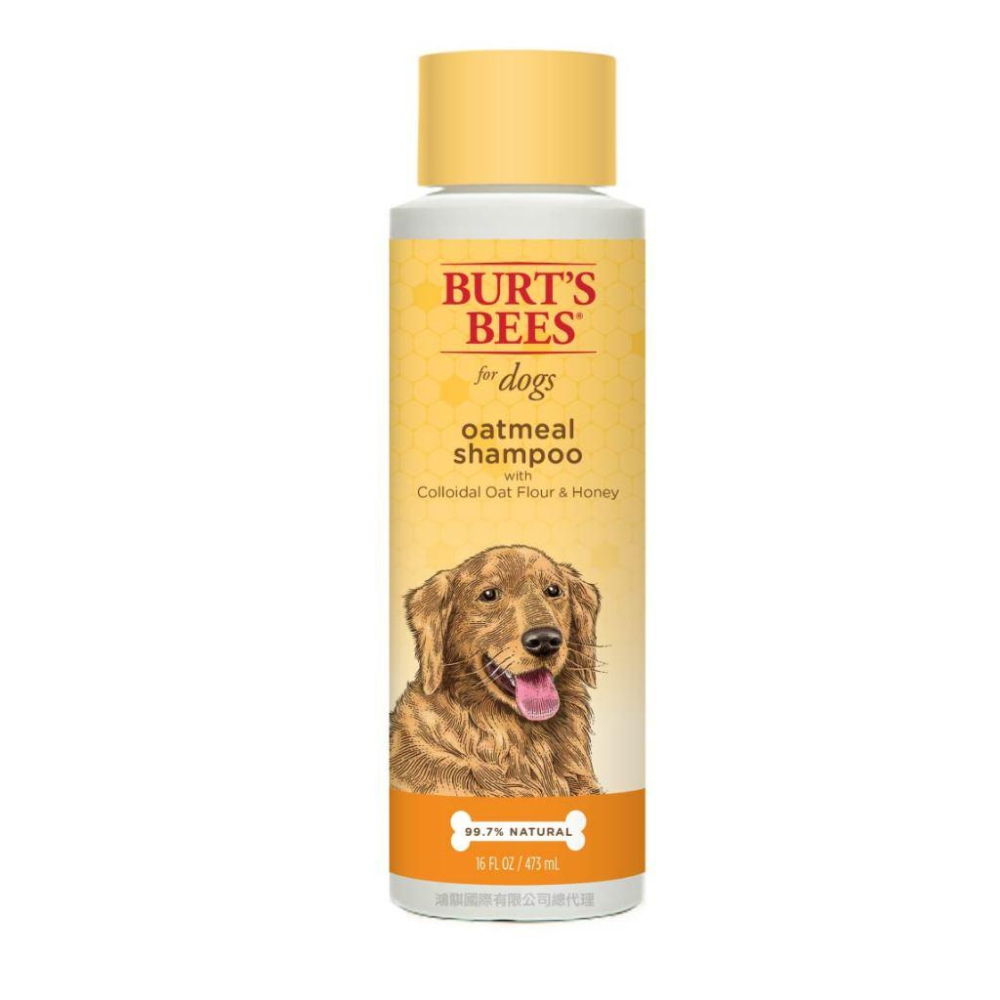 🧸熊好命【BURT＇S BEES 伯特小蜜蜂】天然肌蜜 狗系列 犬用 沐浴露 護毛素 潔膚水 潔膚巾-細節圖4