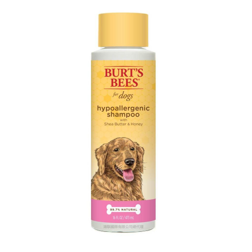 🧸熊好命【BURT＇S BEES 伯特小蜜蜂】天然肌蜜 狗系列 犬用 沐浴露 護毛素 潔膚水 潔膚巾-細節圖8