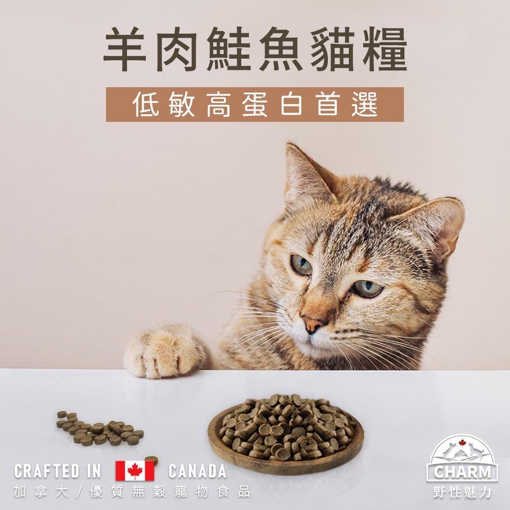 🧸熊好命【CHARM 野性魅力】貓糧 貓飼料 飼料 乾糧 【小包裝1kg/1.8kg】-細節圖9
