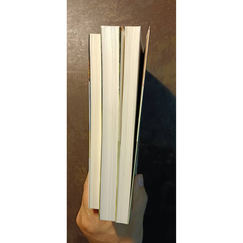 李崇建三本書不分售-細節圖6