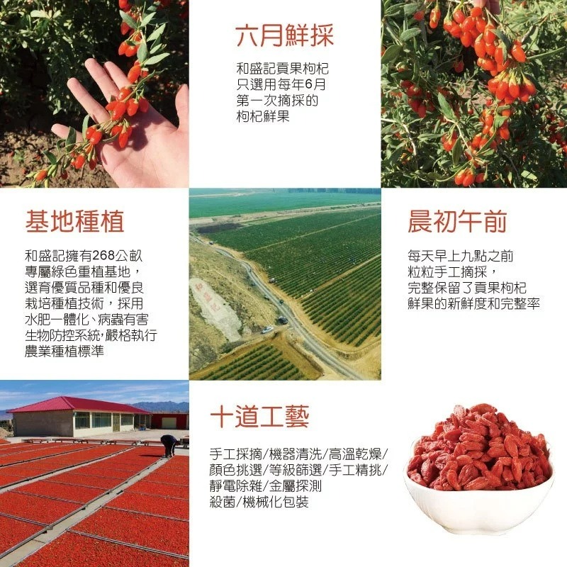 天然生機枸杞王(5特) 300公克 天然枸杞 素食安心-細節圖2