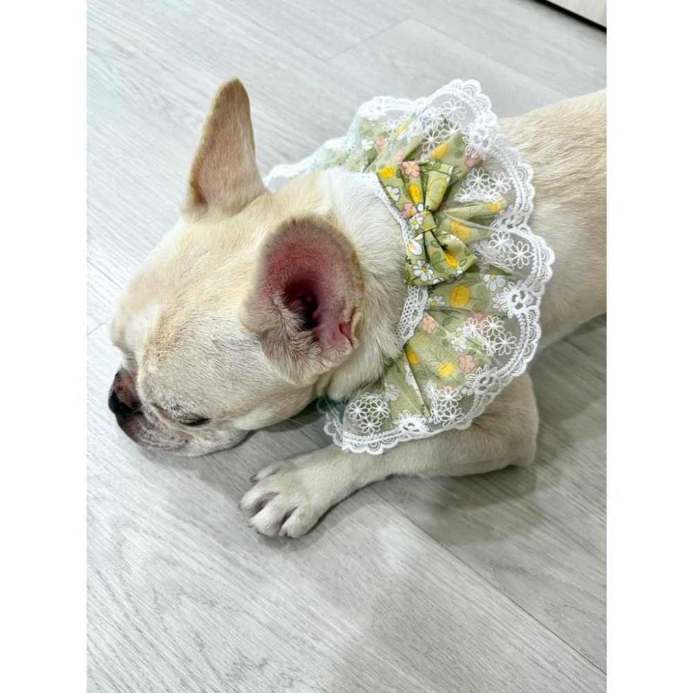 #現貨快速出貨【青衫寵物】原創 ◆ 小兔子綠色花邊蕾絲口水巾、領巾寵物貓咪狗狗頸部裝飾衣服圍脖-細節圖5