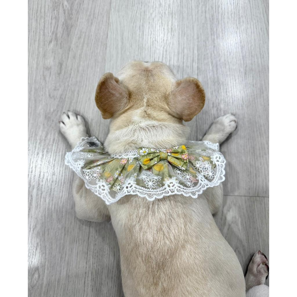 #現貨快速出貨【青衫寵物】原創 ◆ 小兔子綠色花邊蕾絲口水巾、領巾寵物貓咪狗狗頸部裝飾衣服圍脖-細節圖6