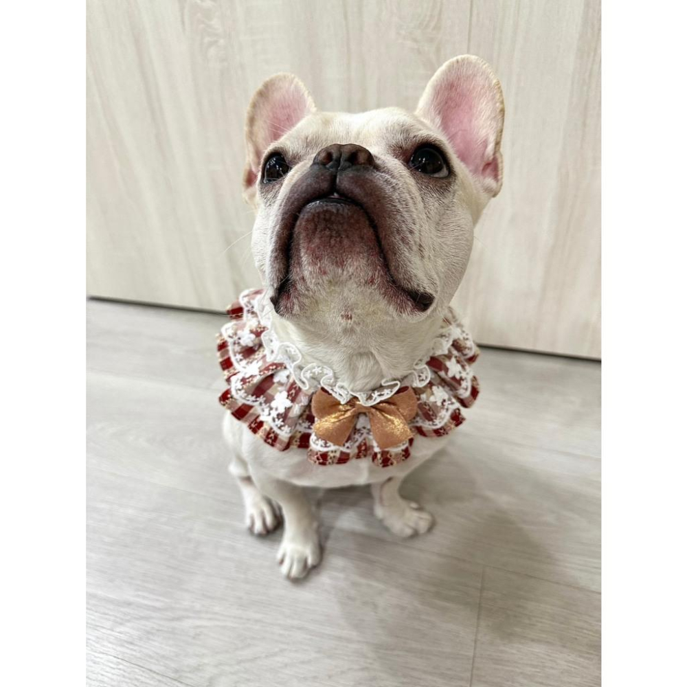 #現貨快速出貨【青衫寵物】原創 ◆ 紅色蝴蝶結格紋花邊蕾絲口水巾、領巾寵物貓咪狗狗頸部裝飾衣服圍脖-細節圖5