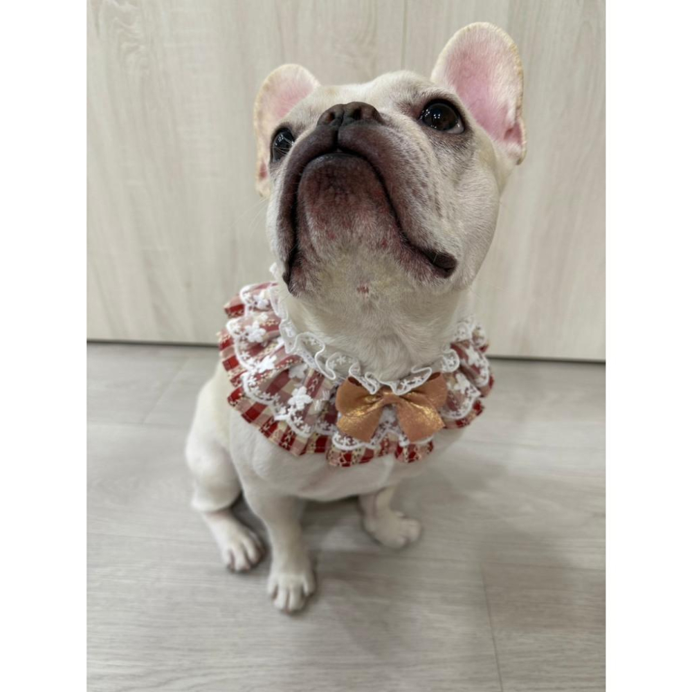 #現貨快速出貨【青衫寵物】原創 ◆ 紅色蝴蝶結格紋花邊蕾絲口水巾、領巾寵物貓咪狗狗頸部裝飾衣服圍脖-細節圖6