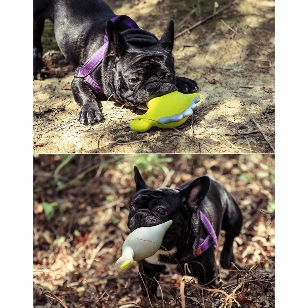 現貨 寵物玩具 Qmonster模型玩具恐龍玩具狗狗發聲玩具耐咬恐龍家族系列耐玩中大型犬-細節圖2