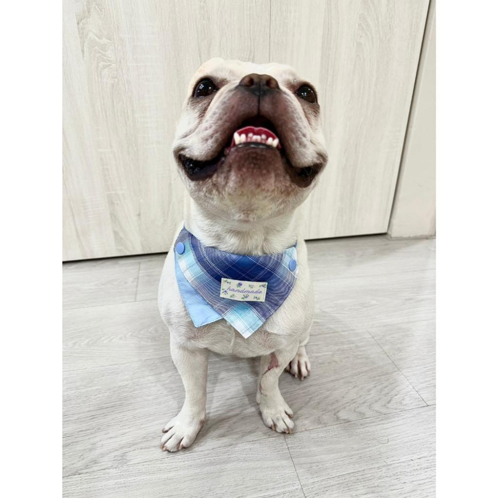 現貨 馬卡龍格紋繽紛彩色系列口水巾猫咪狗狗小型犬中型犬可調節領巾-細節圖2