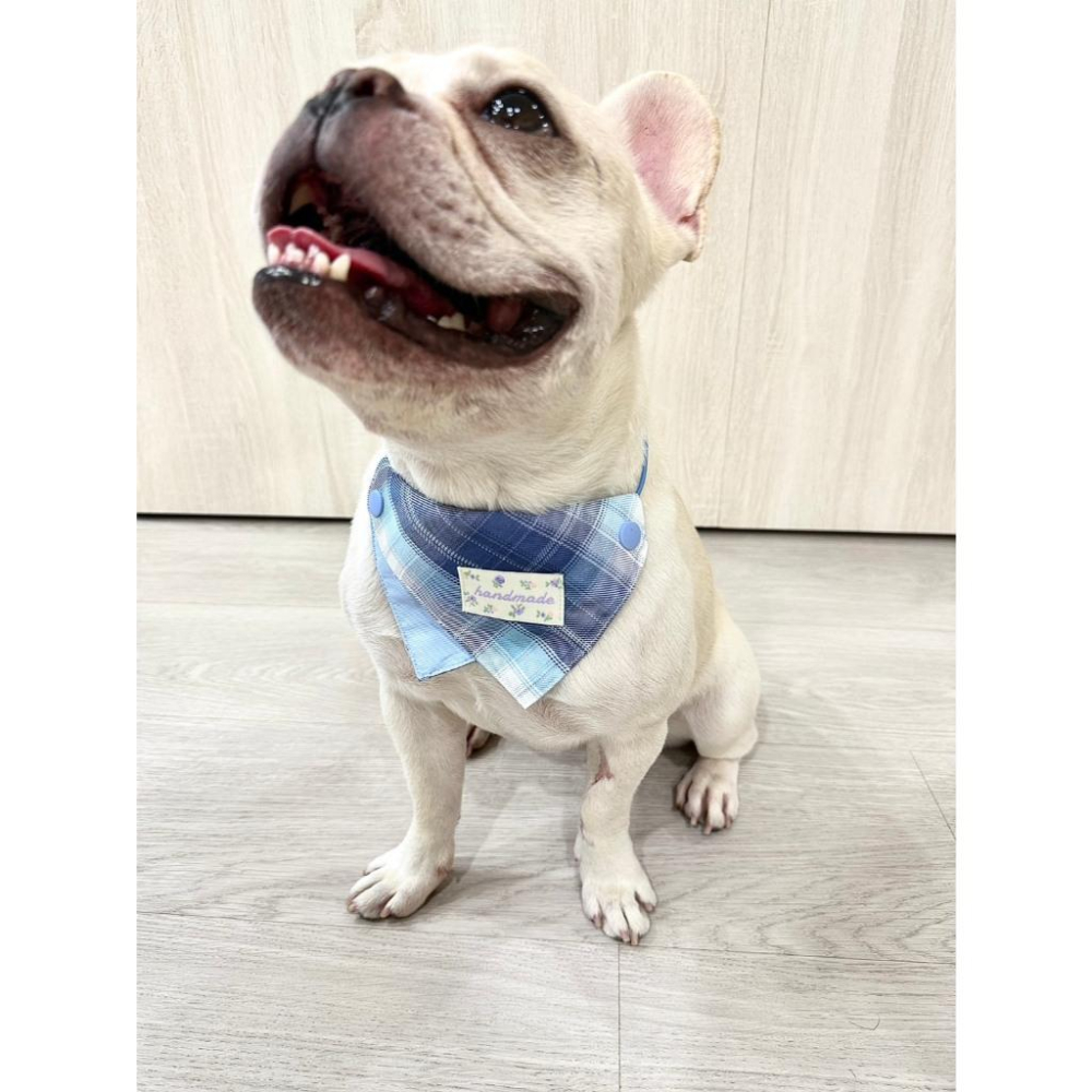 現貨 馬卡龍格紋繽紛彩色系列口水巾猫咪狗狗小型犬中型犬可調節領巾-細節圖3