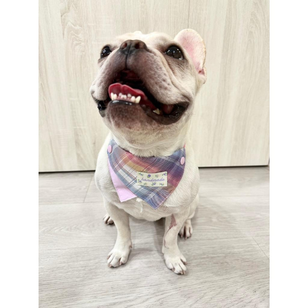 現貨 馬卡龍格紋繽紛彩色系列口水巾猫咪狗狗小型犬中型犬可調節領巾-細節圖4