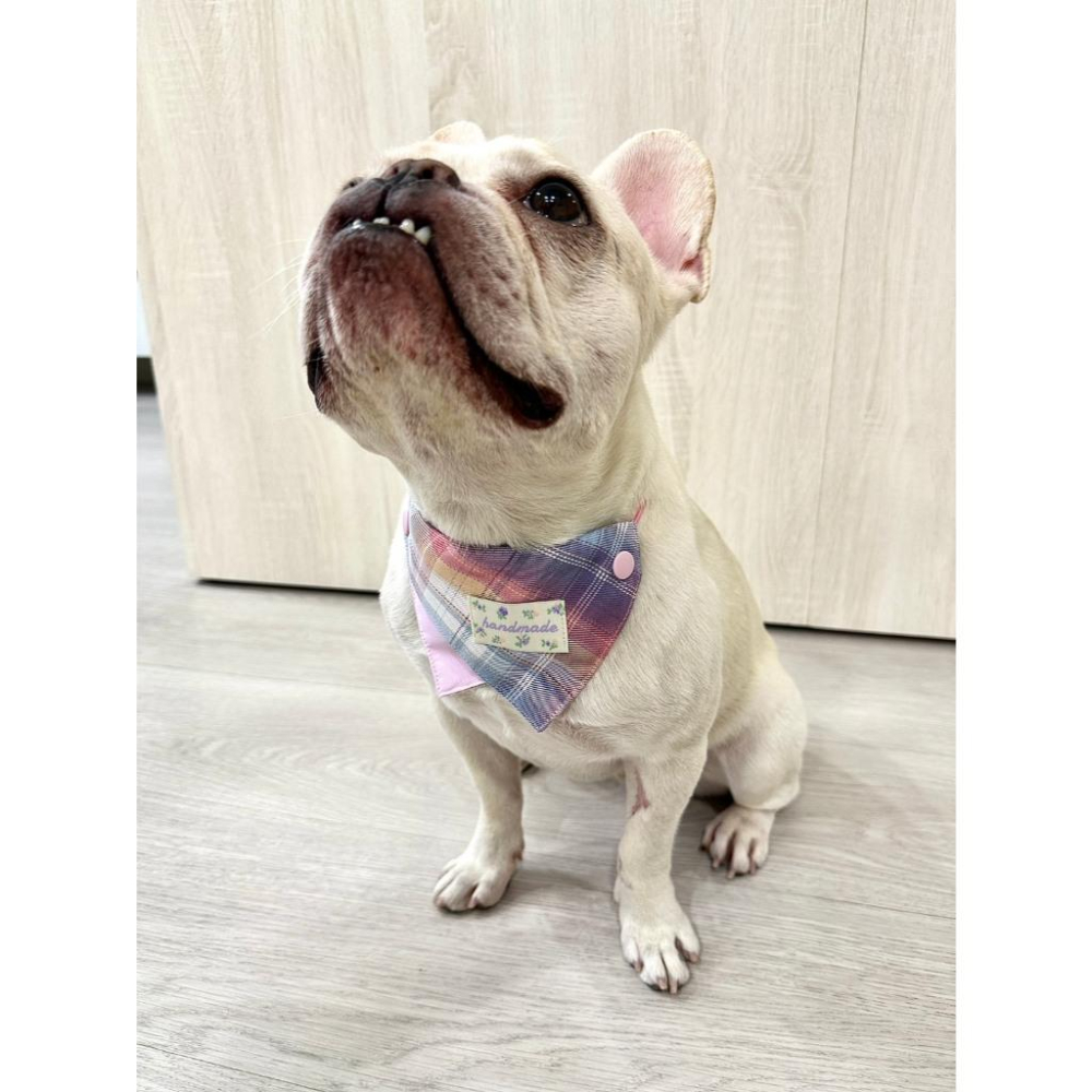 現貨 馬卡龍格紋繽紛彩色系列口水巾猫咪狗狗小型犬中型犬可調節領巾-細節圖5