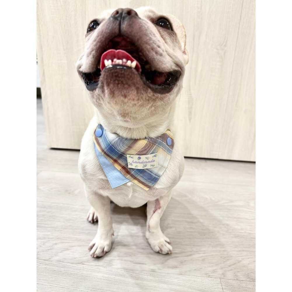 現貨 馬卡龍格紋繽紛彩色系列口水巾猫咪狗狗小型犬中型犬可調節領巾-細節圖6