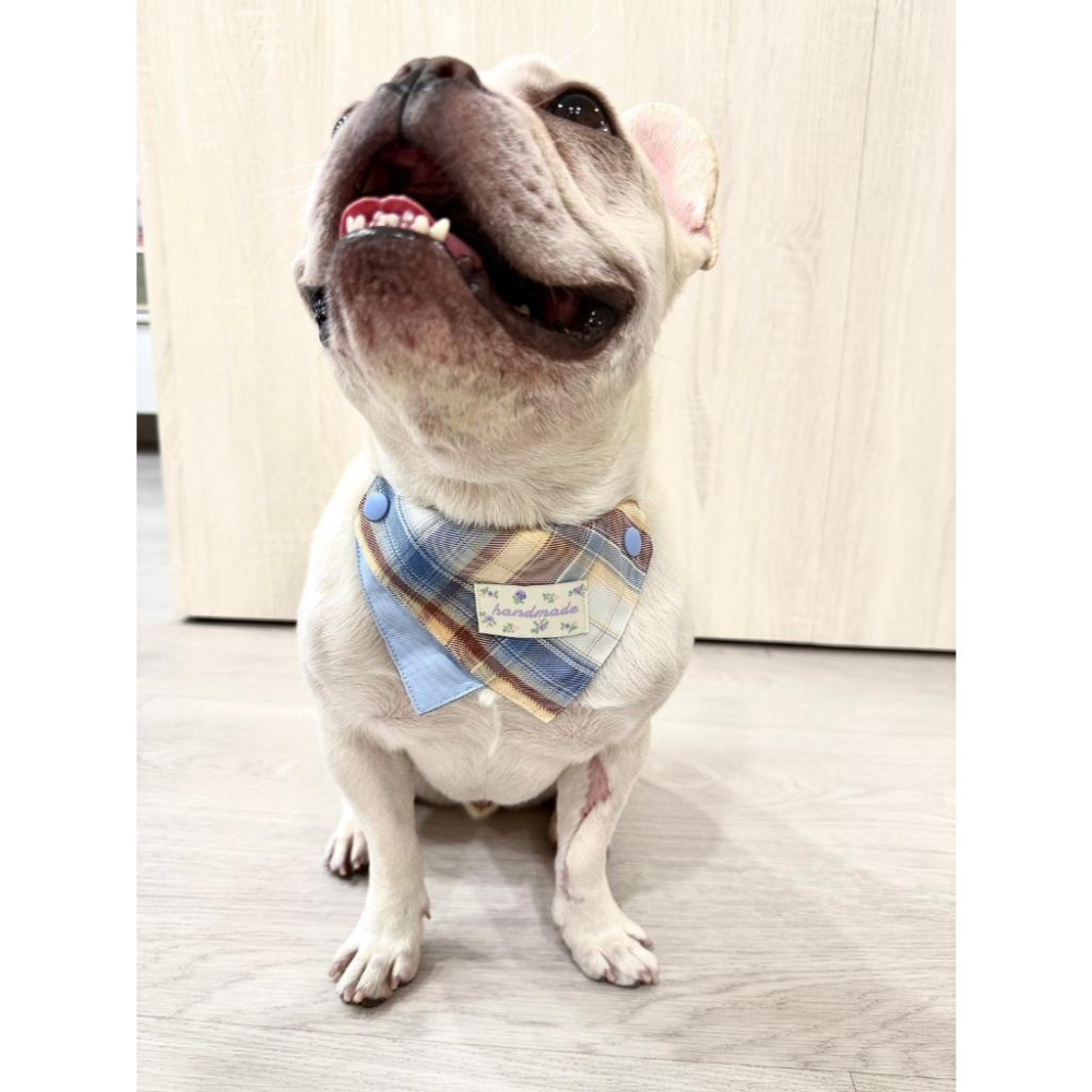 現貨 馬卡龍格紋繽紛彩色系列口水巾猫咪狗狗小型犬中型犬可調節領巾-細節圖7